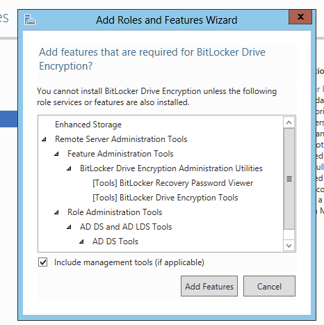 Add Roles and Features wizard on the Features page with BitLocker Drive Encryption selected