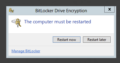 BitLocker wizard confirmation page with Run BitLocker system check selected before restart