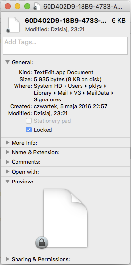 Mail signature file info panel with the Locked checkbox highlighted