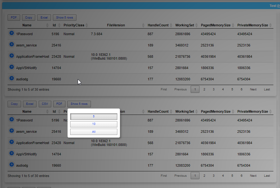 Dashimo table page length menu showing custom paging options