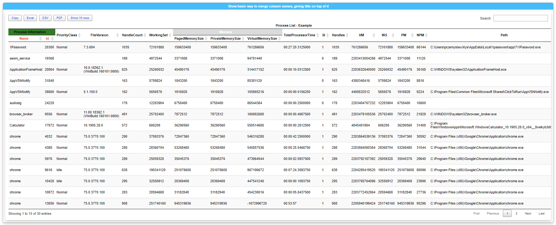 Process table with a full-width Process List title row