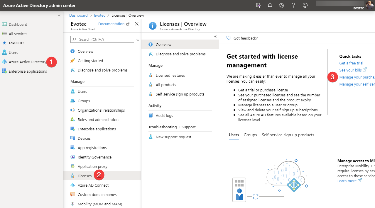 Azure AD license management page showing purchased licenses