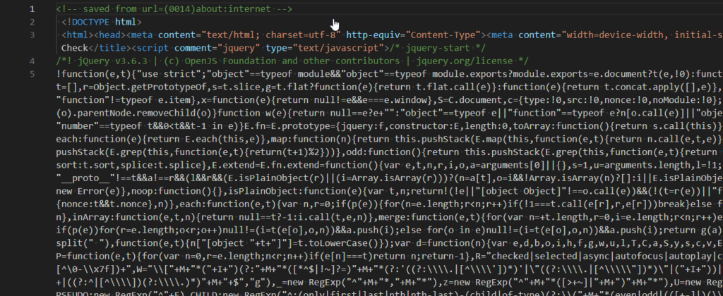 Expanded HTML source with bundled CSS and JavaScript when CDN usage is disabled